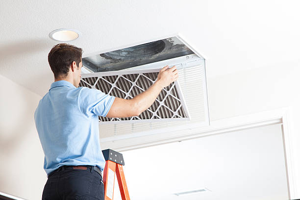 Best Air quality test  in Waverly, VA